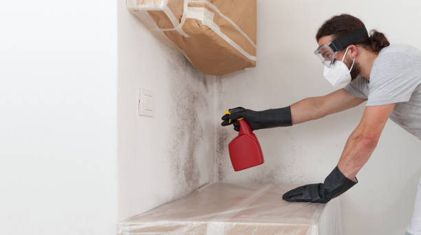 Professional Hvac And Air Duct Mold Remediation technician working in Woodbridge, NJ