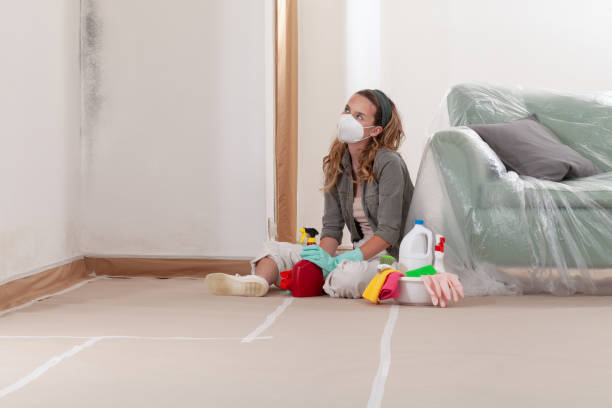 Reliable Hvac And Air Duct Mold Remediation contractor in Woodbridge, NJ by 24 Hour Mold Removal